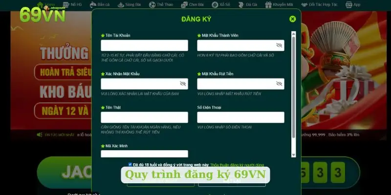 Quy trình đăng ký 69VN