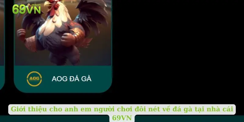 Giới thiệu cho anh em người chơi đôi nét về đá gà tại nhà cái 69VN