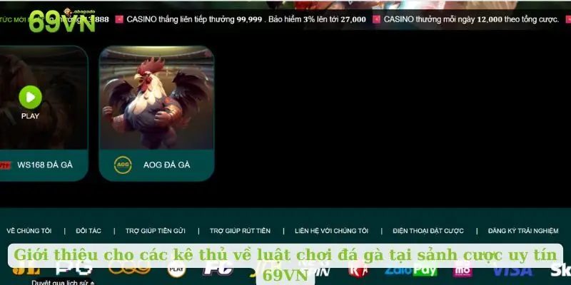 Giới thiệu cho các kê thủ về luật chơi đá gà tại sảnh cược uy tín 69VN